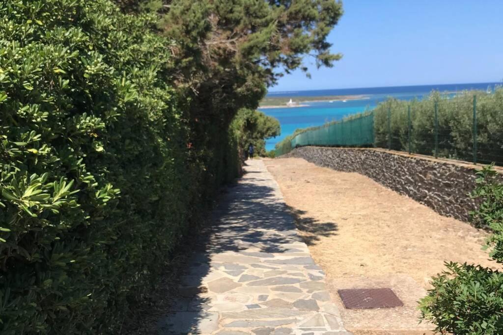 Casa vacanze Pelosa - Capo Falcone Excellent *
