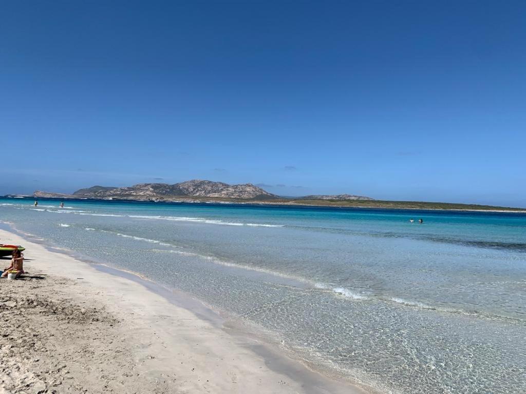 Casa vacanze Pelosa - Capo Falcone Excellent Stintino