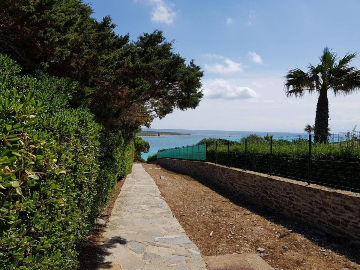 Pelosa - Capo Falcone Excellent