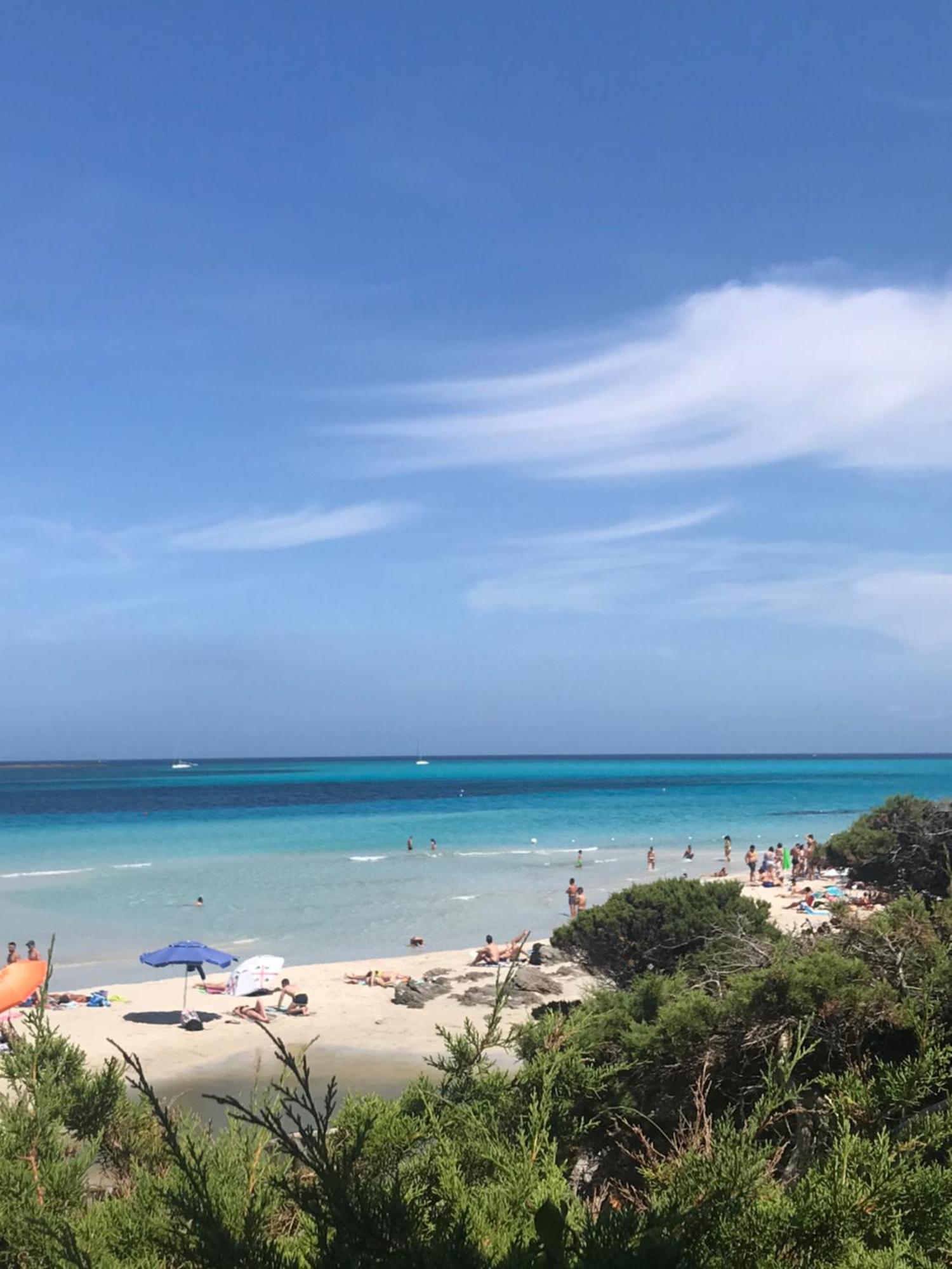 Casa de Férias Pelosa - Capo Falcone Excellent